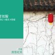 成亲后，我开始和夫君分房睡