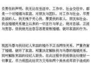王宝强与经纪人宋哲发生婚外不正当关系破坏家庭