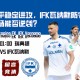 瑞典超赛前分析：北雪平稳定进攻，IFK瓦纳默防守疲软客场能否逆袭？
