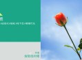 被父母逼婚后，我嫁给了闺蜜弟弟
