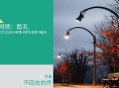 养了一辈子的孩子，不是我亲生的