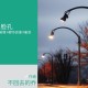 养了一辈子的孩子，不是我亲生的