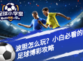 波胆怎么玩？小白必看的足球博彩攻略