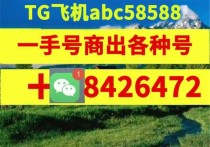 实名支付宝出售与批发平台||实名支付宝账号出售优惠批发小号平台