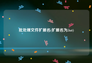 批处理文件扩展名(扩展名为.bat)