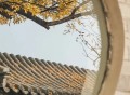 秋天来了，又想好好生活了