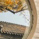 秋天来了，又想好好生活了
