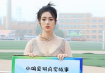 黑客调查对方真实身份资料,查询个人身份证信息的软件
