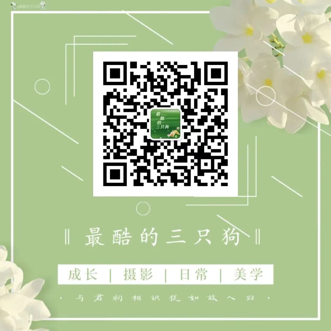 电影剧照