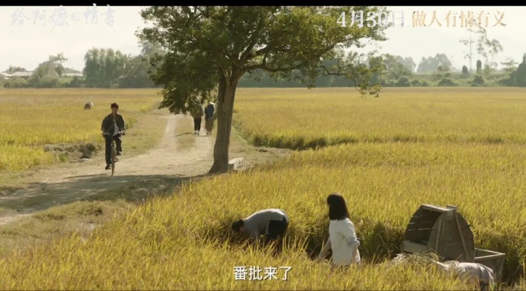 给阿嬷的情书