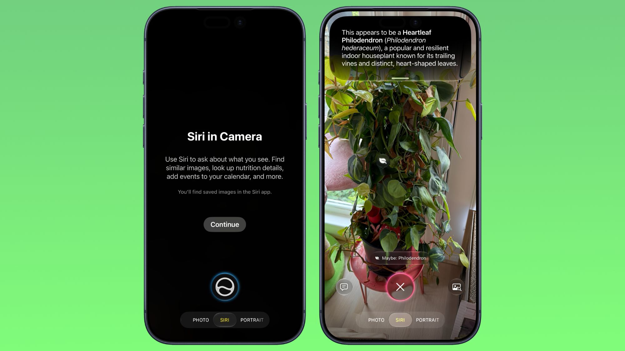 iOS 27 相机 Siri 模式